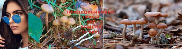 не бодяженный Волоколамск