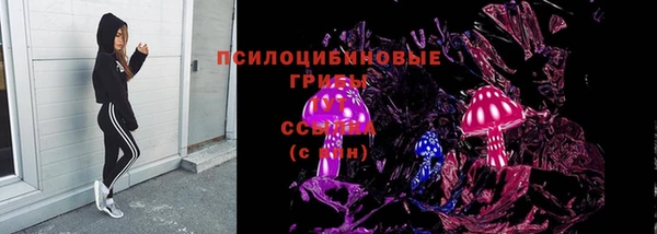 ПСИЛОЦИБИНОВЫЕ ГРИБЫ Вязьма