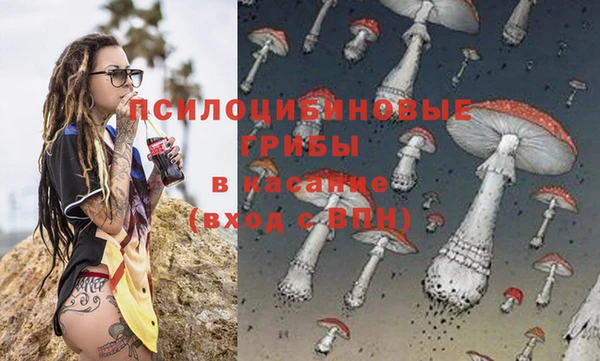 МДПВ Володарск
