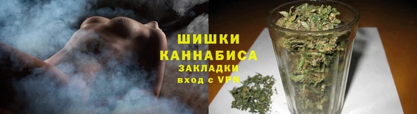 ПСИЛОЦИБИНОВЫЕ ГРИБЫ Вязьма