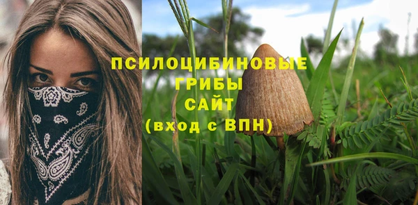 мет Вяземский