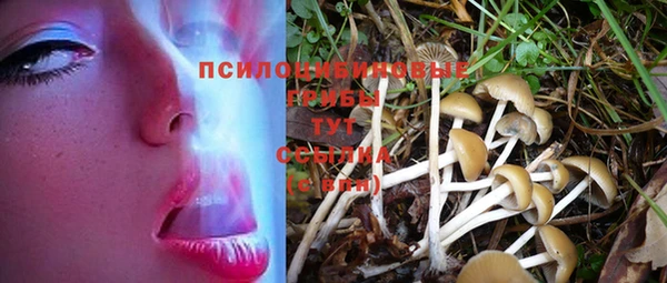 мет Вяземский