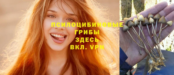 мет Вяземский