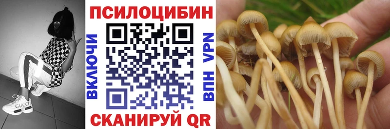 Псилоцибиновые грибы Magic Shrooms  МЕГА зеркало  Заозёрск 